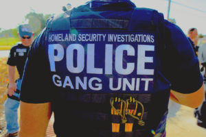homeland security certification