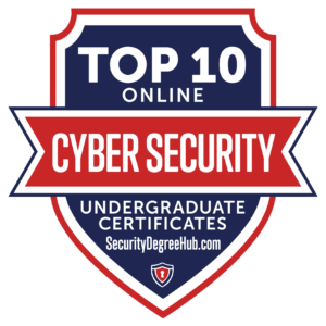 10 Top Online Cyber Security Undergrad Certificate Programs
